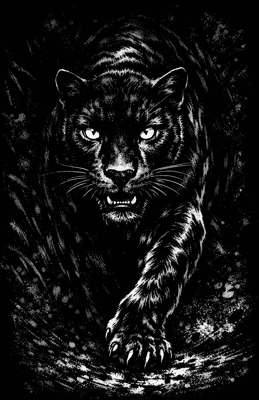 Leopard